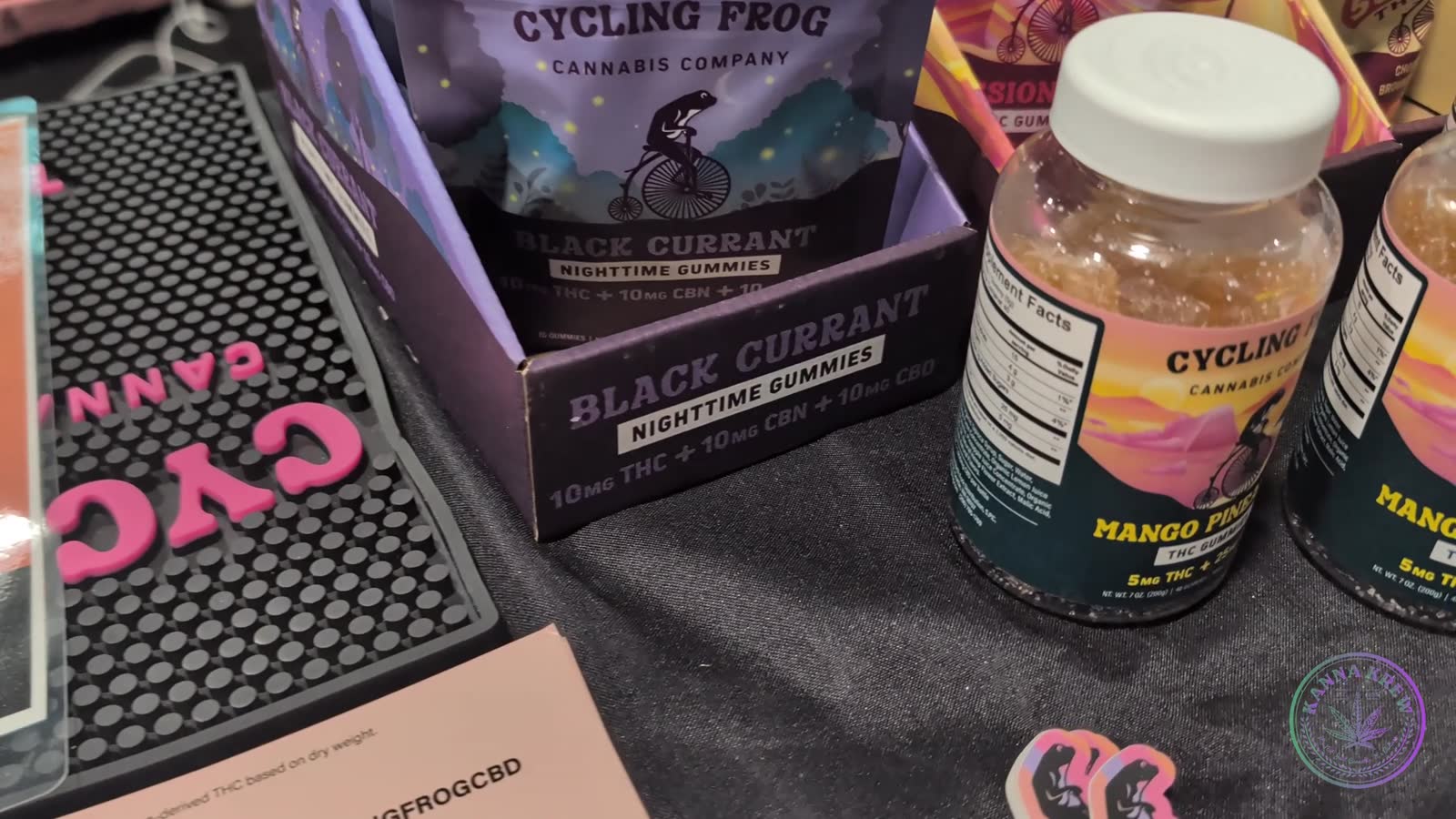 CYCLING FROG — walkthrough still