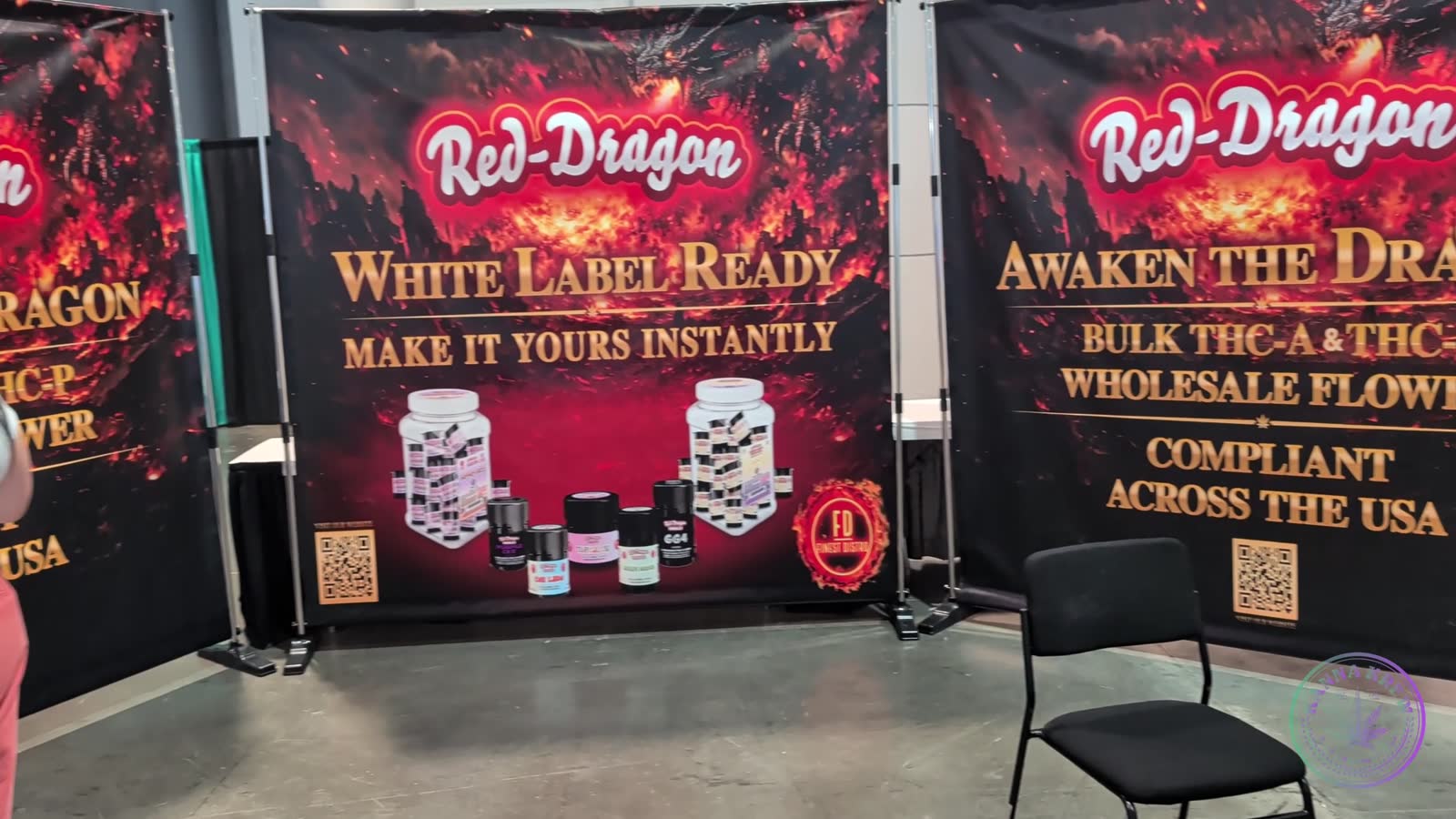 RED DRAGON — walkthrough still