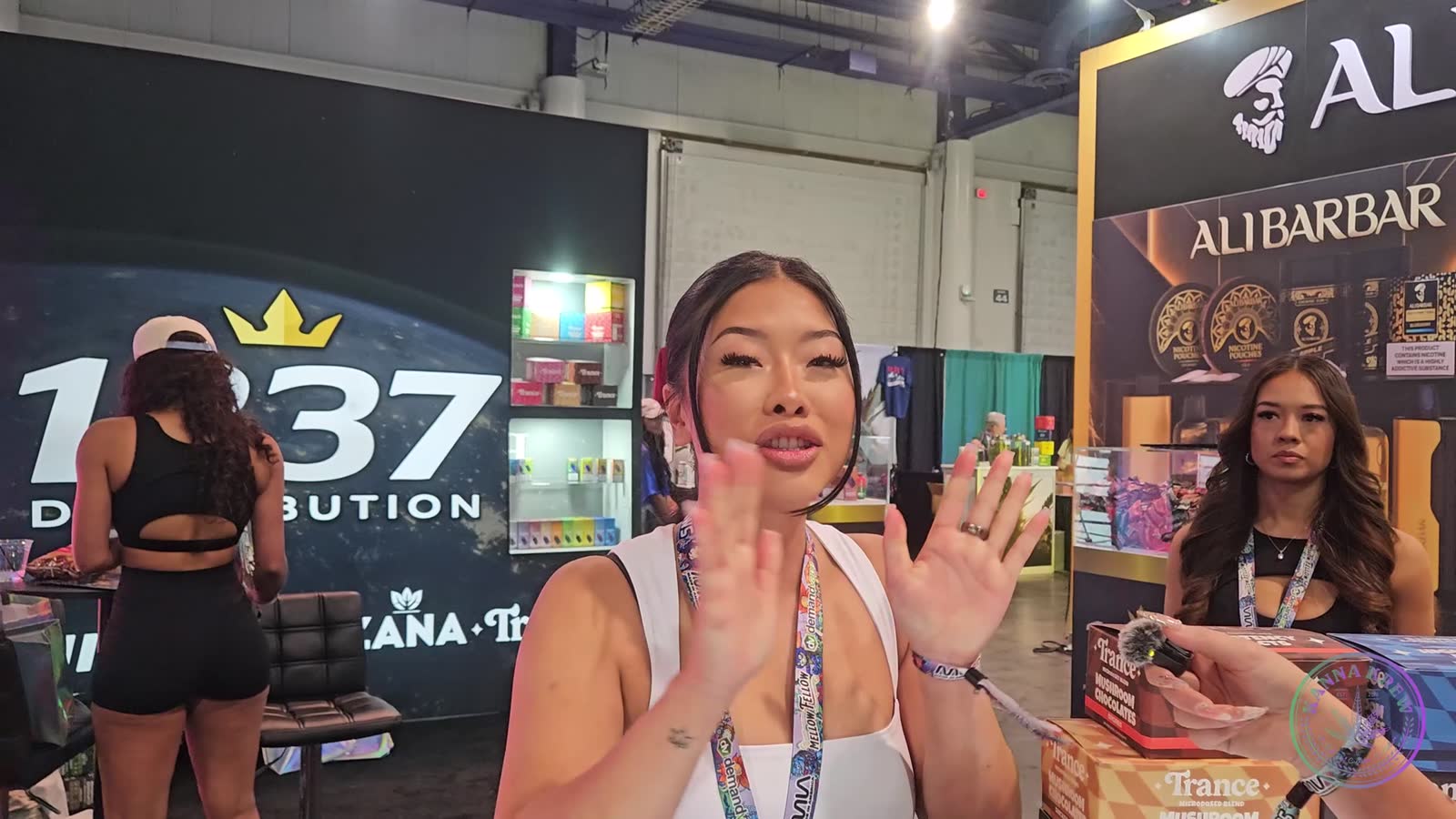 1337 Distribution — walkthrough still