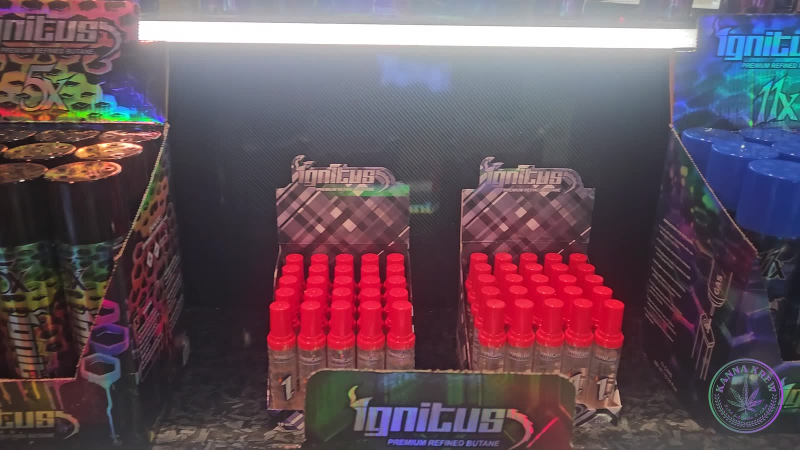 IGNITUS CORP — walkthrough still