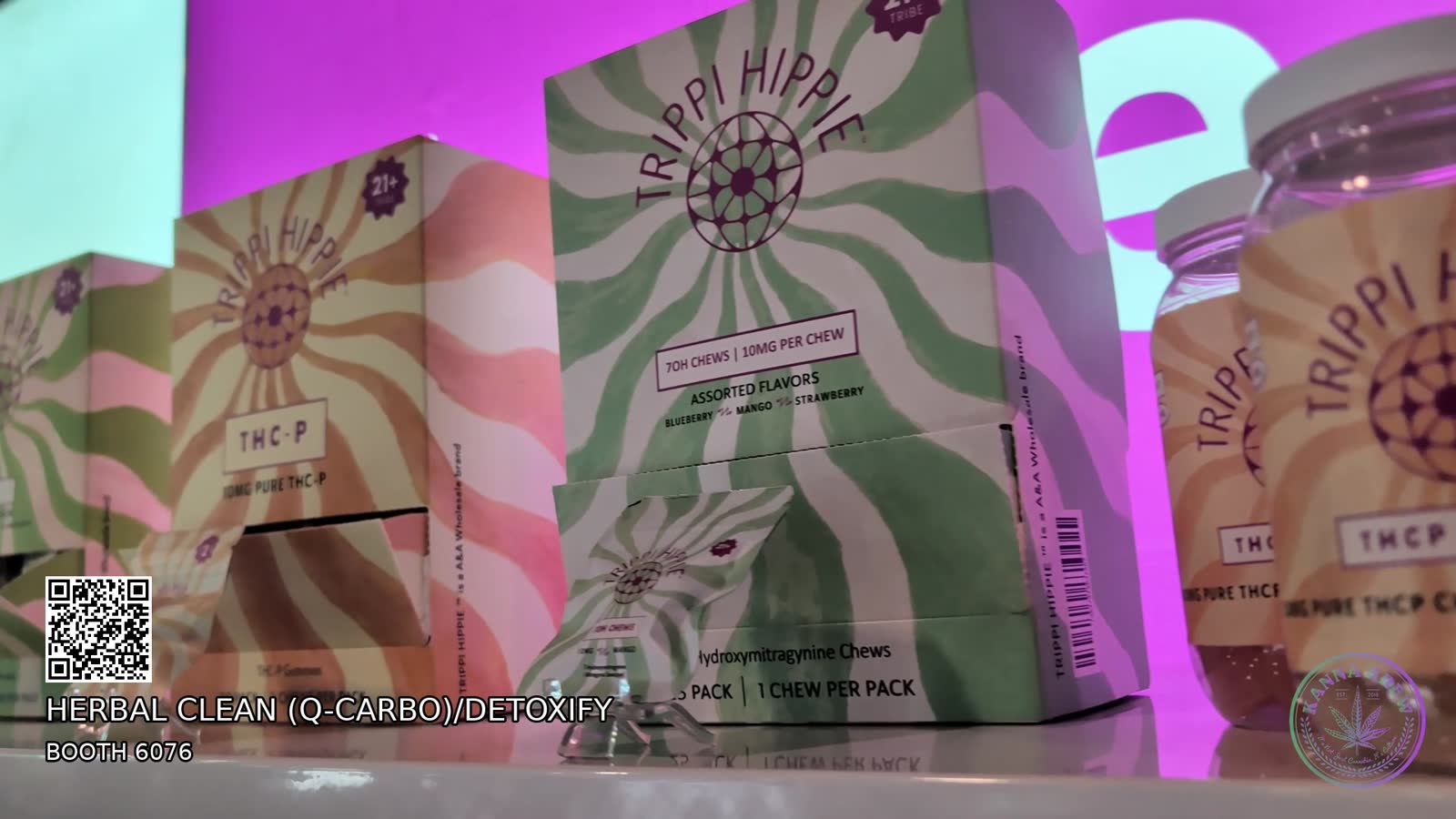 TRIPPI HIPPIE — walkthrough still