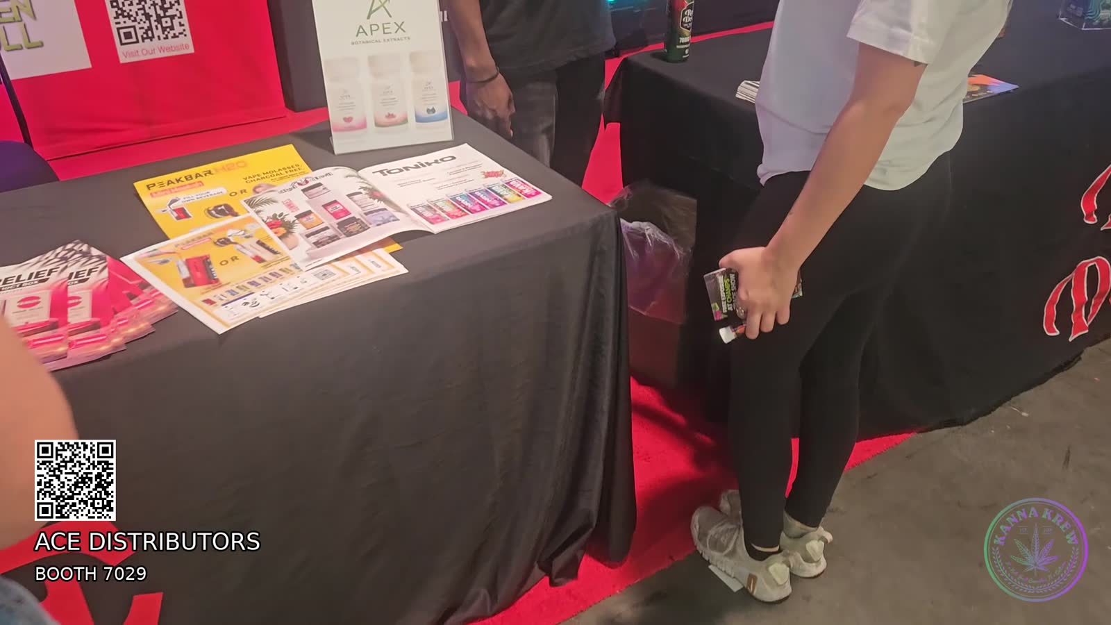 ace distributors — walkthrough still