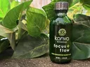 KANVA BOTANICALS logo