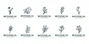 EXPERT BOTANICAL logo