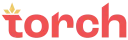 TORCH ENTERPRISE logo