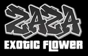 ZAZA EXOTIC FLOWER logo