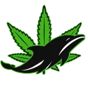 BLACK DOLPHIN logo